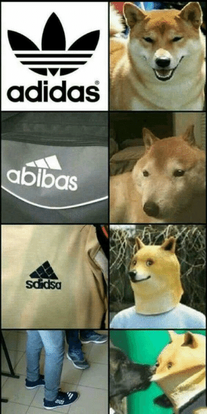 Detail Doge Meme Template Nomer 43