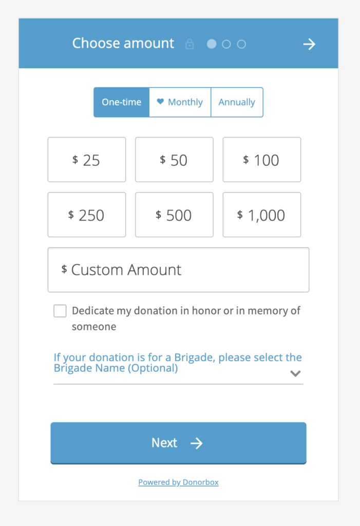 Detail Donation Form Template Nomer 10
