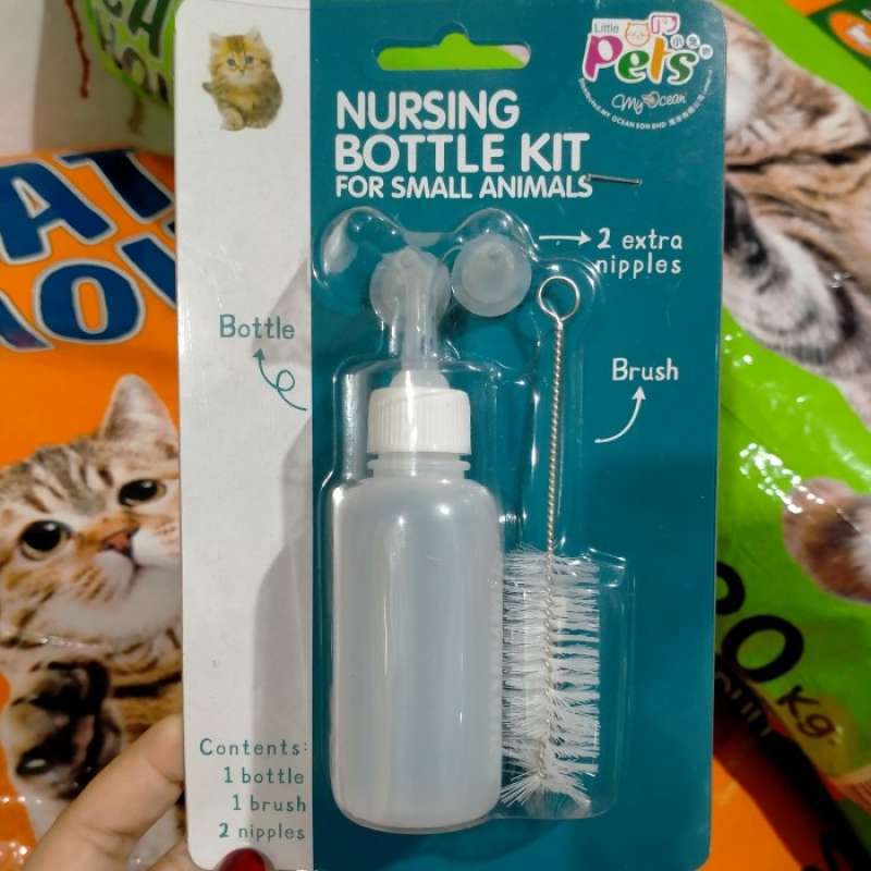 Detail Dot Untuk Bayi Kucing Nomer 33