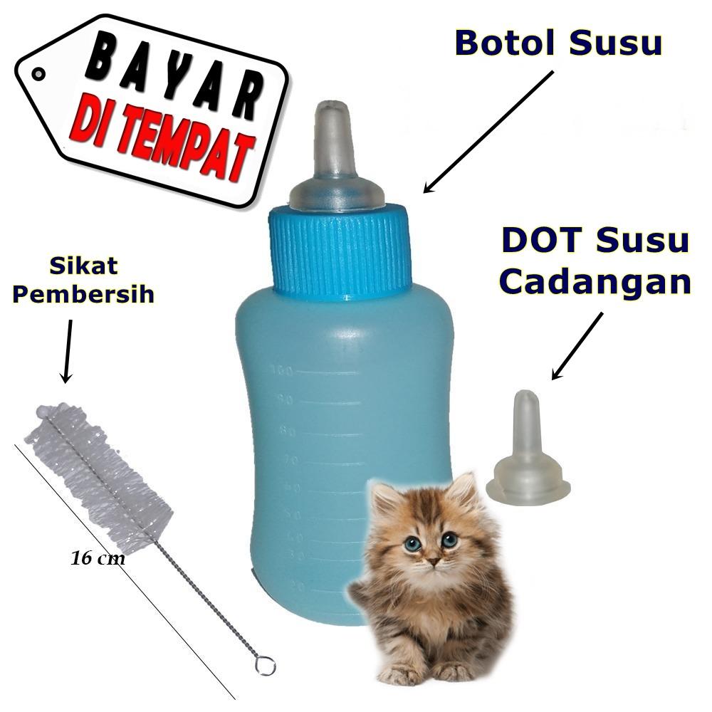 Detail Dot Untuk Bayi Kucing Nomer 37