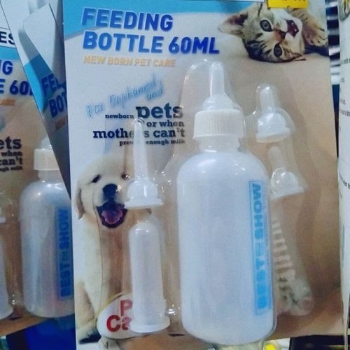 Detail Dot Untuk Bayi Kucing Nomer 7