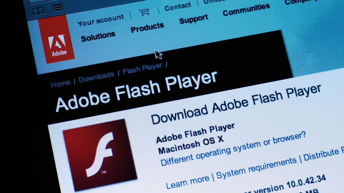 Detail Download Adobe Flash Player Gratis Nomer 49