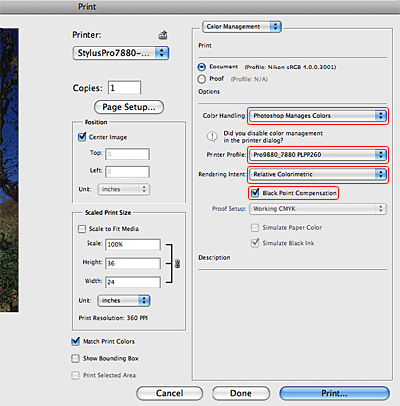 Detail Download Adobe Photoshop Cs3 Nomer 38