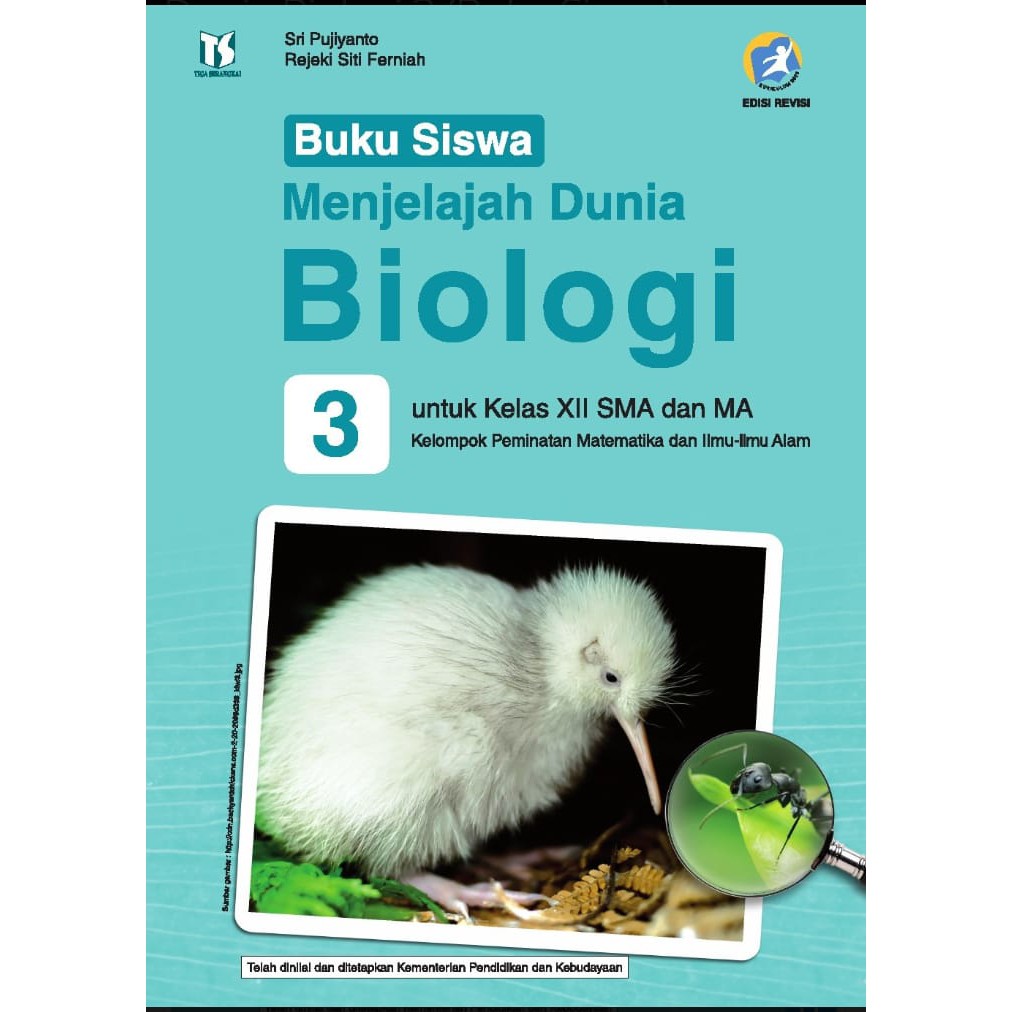 Detail Download Buku Bahasa Jerman Kelas 12 Kurikulum 2013 Nomer 20