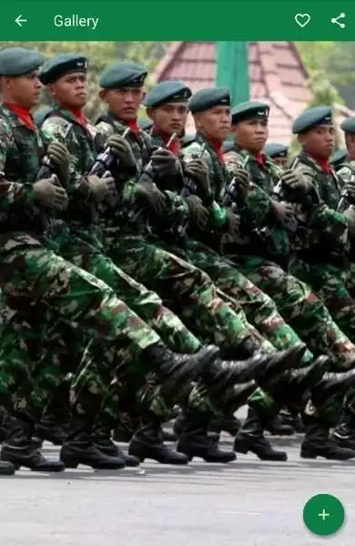 Detail Download Foto Tni Nomer 24