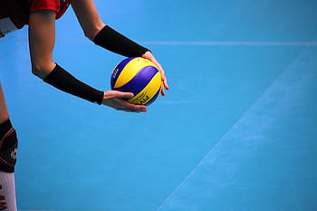 Detail Download Foto Volly Ball Nomer 36