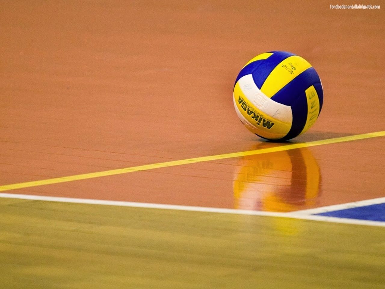Detail Download Foto Volly Ball Nomer 6