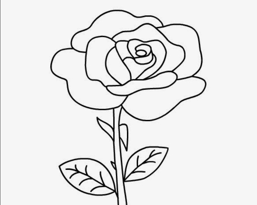 Detail Download Gambar Bunga Mawar Untuk Diwarnai Nomer 3