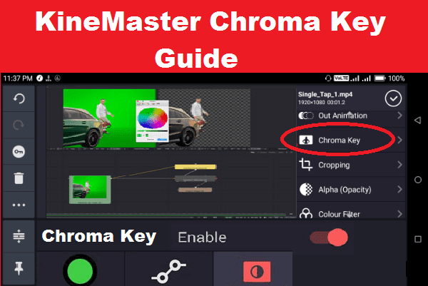 Detail Download Kinemaster Green Screen Nomer 14