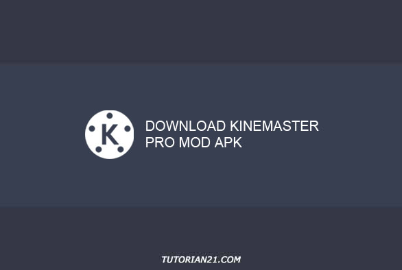 Detail Download Kinemaster Warna Biru Nomer 45