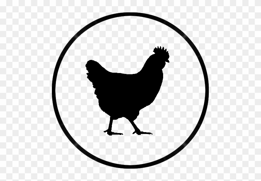 Detail Download Logo Chicken Png Nomer 17