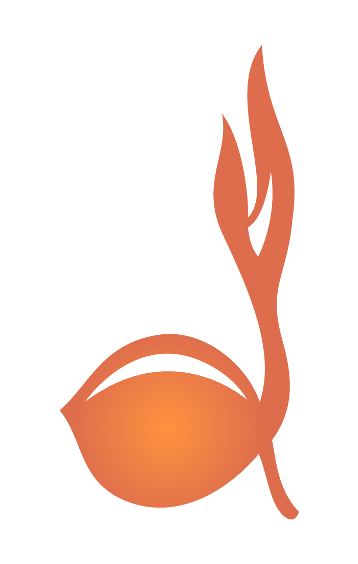 Detail Download Logo Tunas Kelapa Pramuka Nomer 16