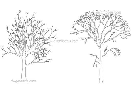 Detail Download Pohon Dwg Nomer 53