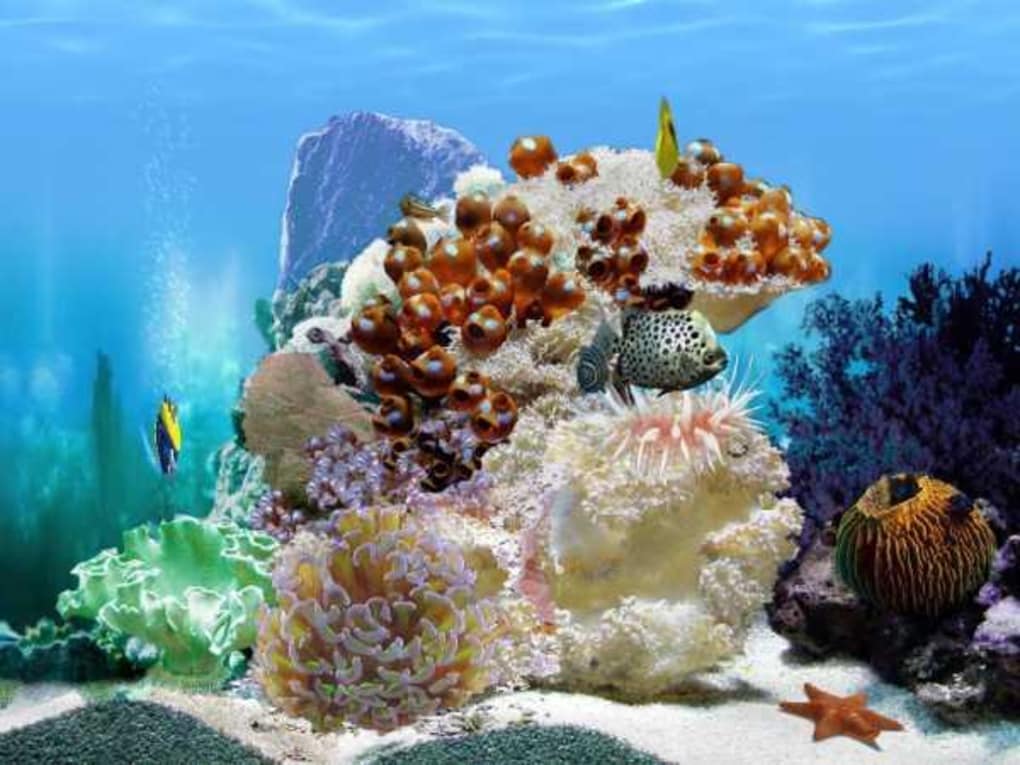 Detail Download Screensaver Aquarium Gratis Nomer 30