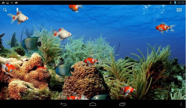 Detail Download Screensaver Aquarium Gratis Nomer 32