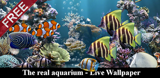 Detail Download Screensaver Aquarium Gratis Nomer 40