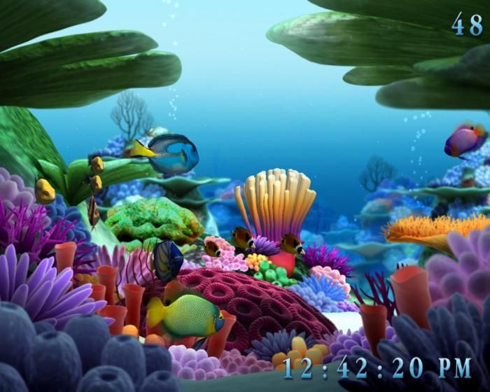 Detail Download Screensaver Aquarium Gratis Nomer 42