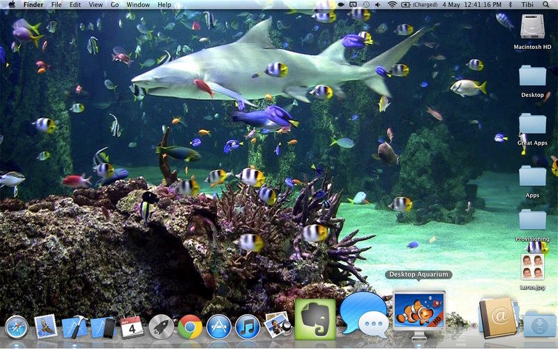 Detail Download Screensaver Aquarium Gratis Nomer 47