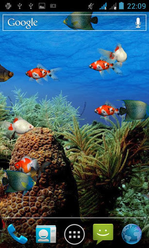 Detail Download Screensaver Aquarium Gratis Nomer 54