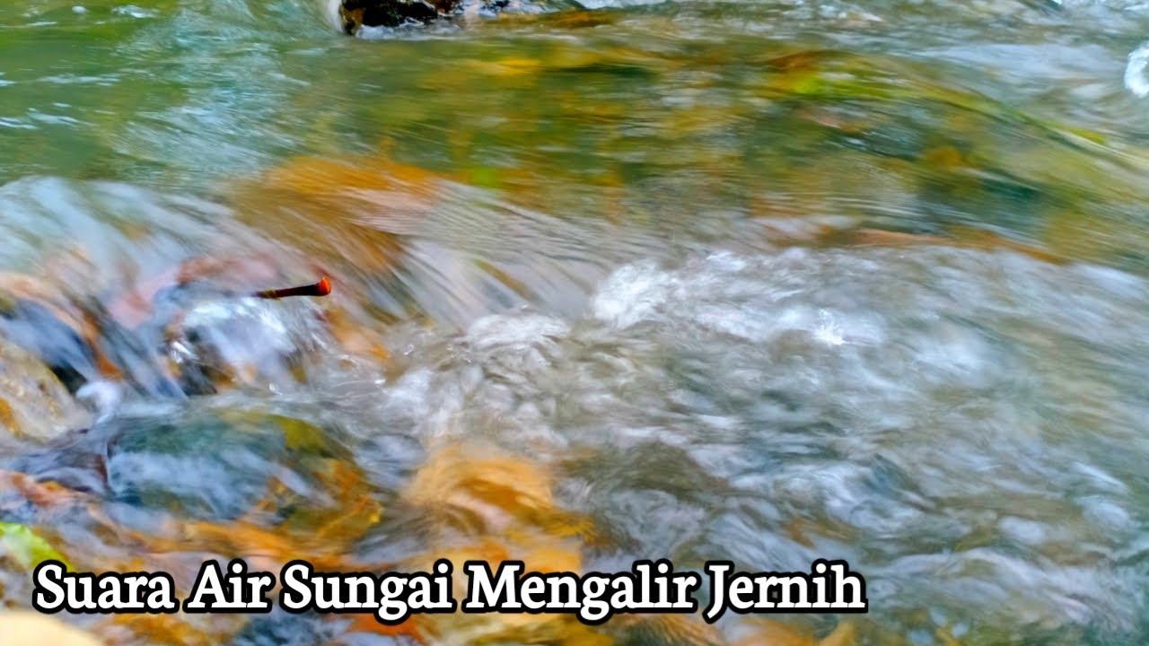 Detail Download Suara Air Mengalir Di Sungai Nomer 53