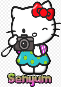 Detail Dp Bbm Hello Kitty Nomer 42