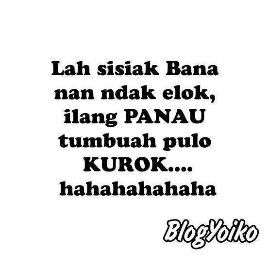 Detail Dp Bbm Lucu Bahasa Minang Nomer 8