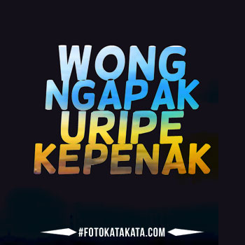 Dp Bbm Ngapak - KibrisPDR