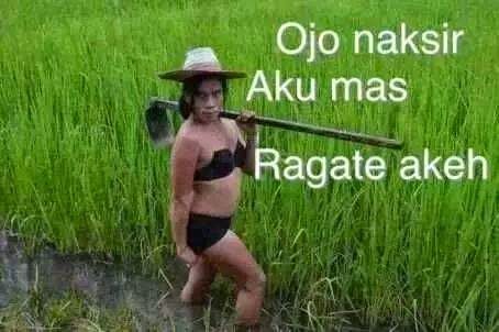 Detail Dp Bbm Ngapak Nomer 29