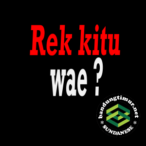 Detail Dp Bbm Unik Bahasa Sunda Nomer 8