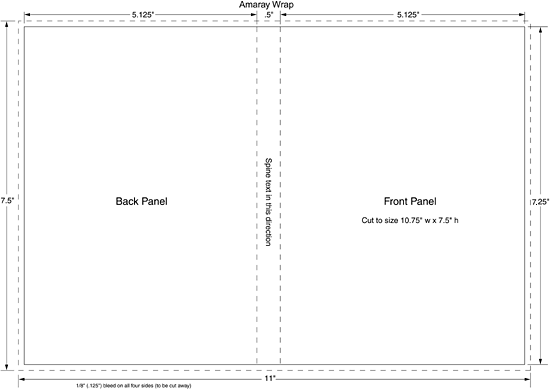 Detail Dvd Packaging Template Nomer 4