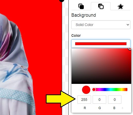 Detail Edit Warna Gambar Online Nomer 8