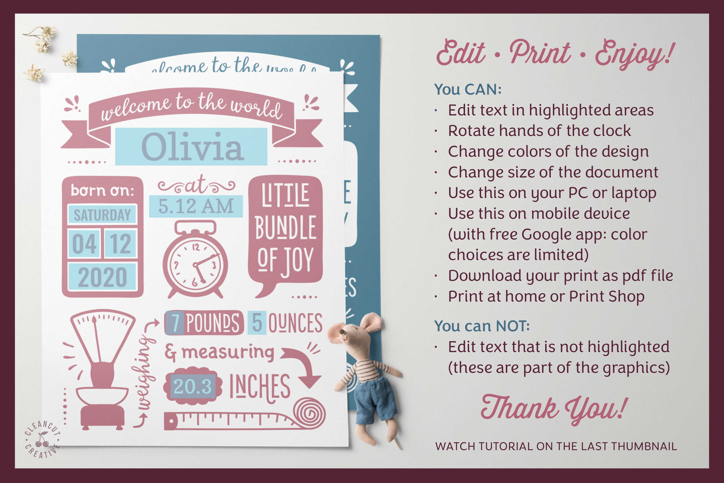 Detail Editable Free Birth Announcement Template Nomer 22