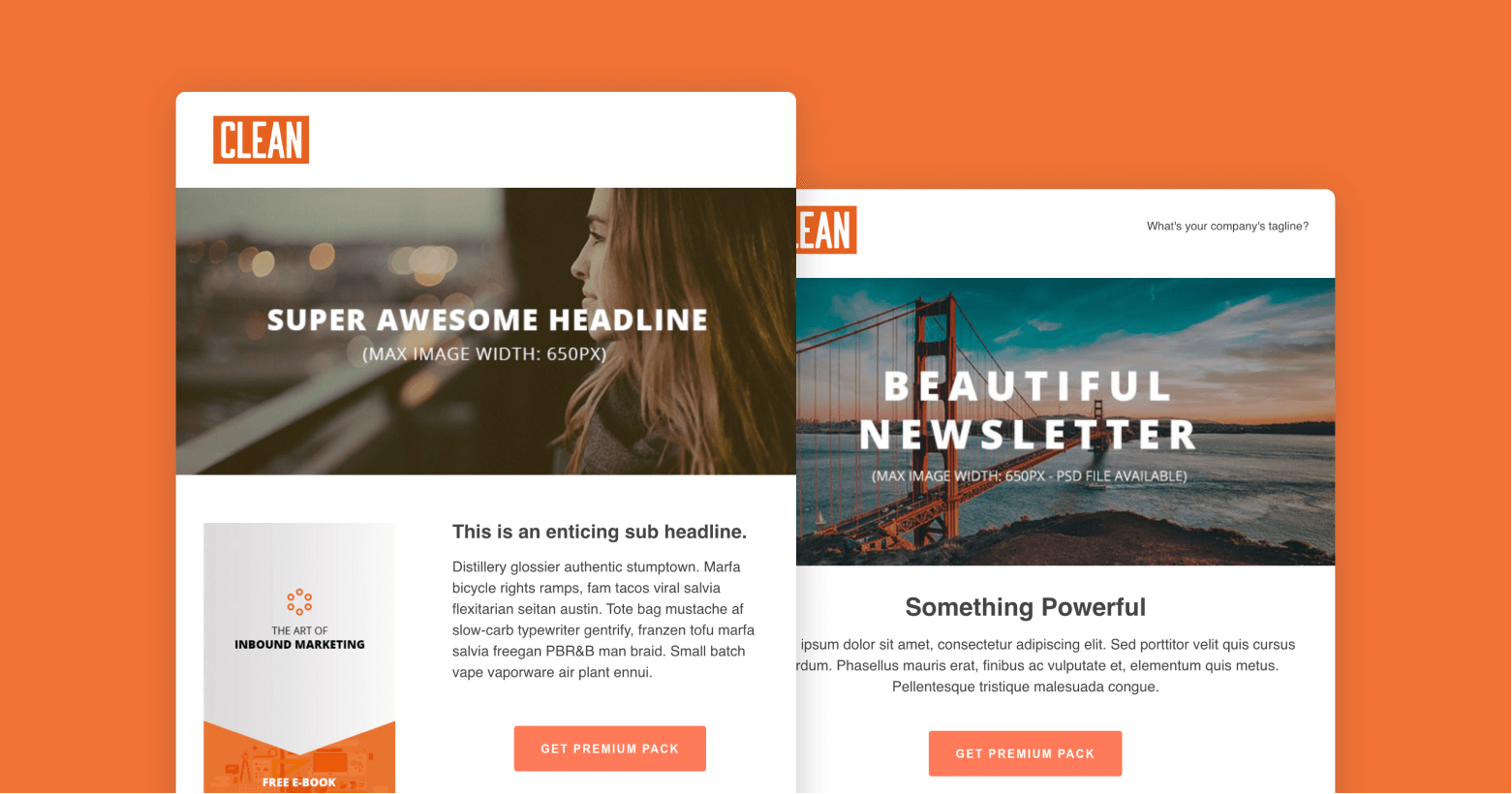 Detail Edm Email Template Nomer 38