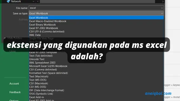 Detail Ekstensi Dari File Microsoft Excel Adalah Nomer 5