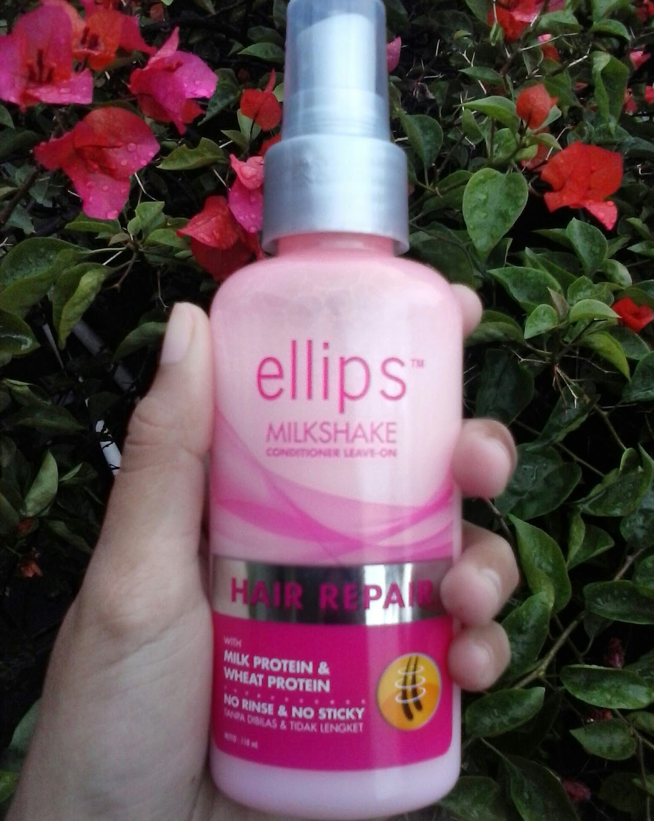 Detail Elips Untuk Rambut Berwarna Nomer 51