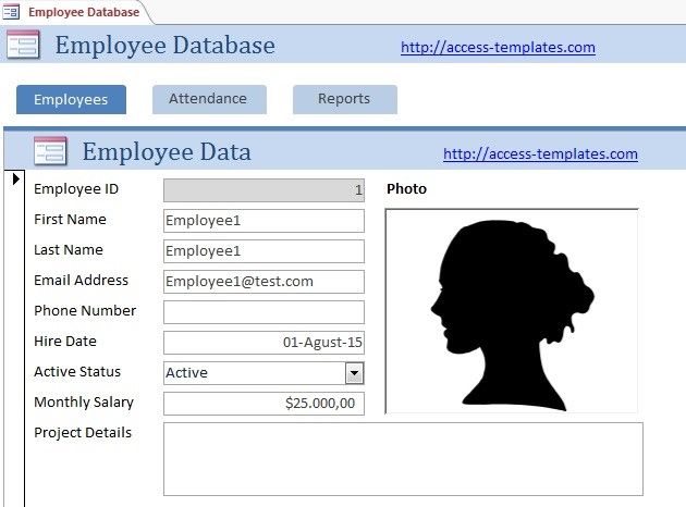 Employee Database Access Template - KibrisPDR