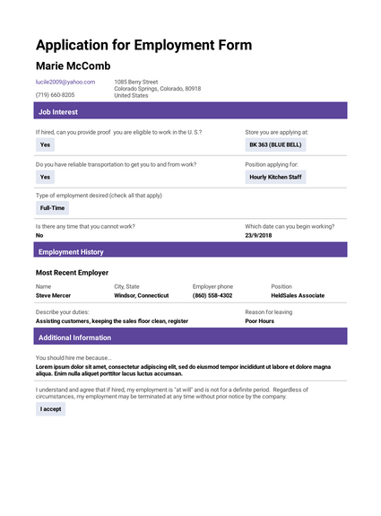 Detail Employee Job Application Template Nomer 22