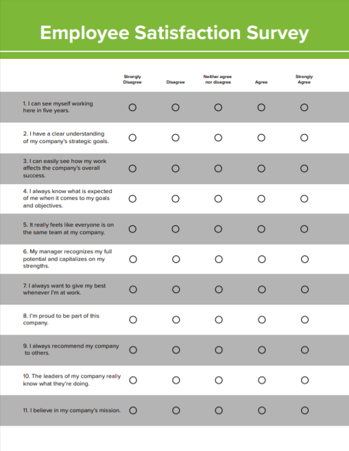 Employee Survey Template - KibrisPDR