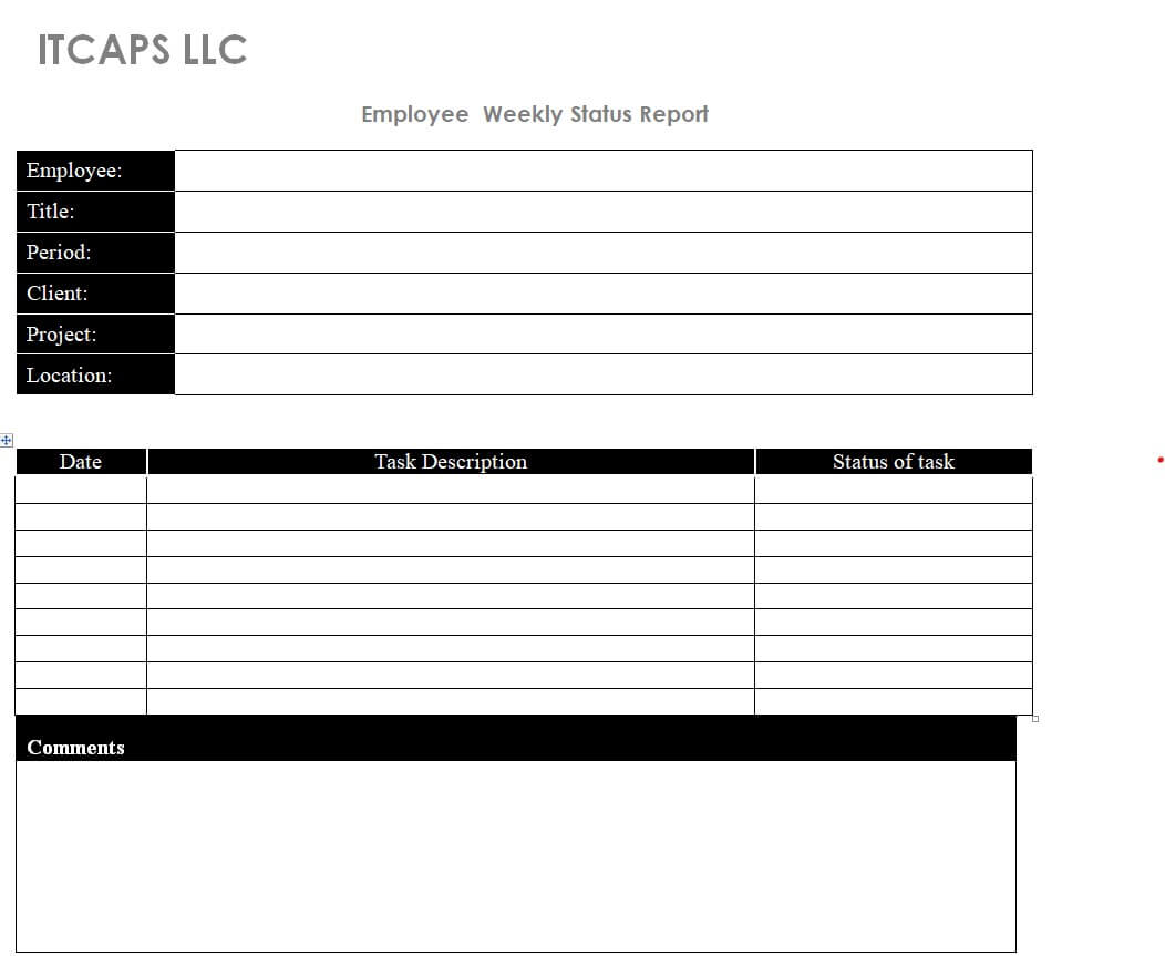 Detail Employee Weekly Status Report Template Nomer 53