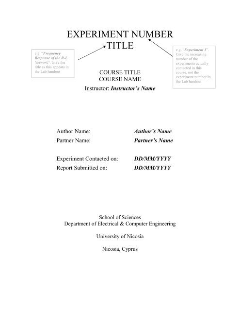 Detail Engineering Report Template Nomer 32