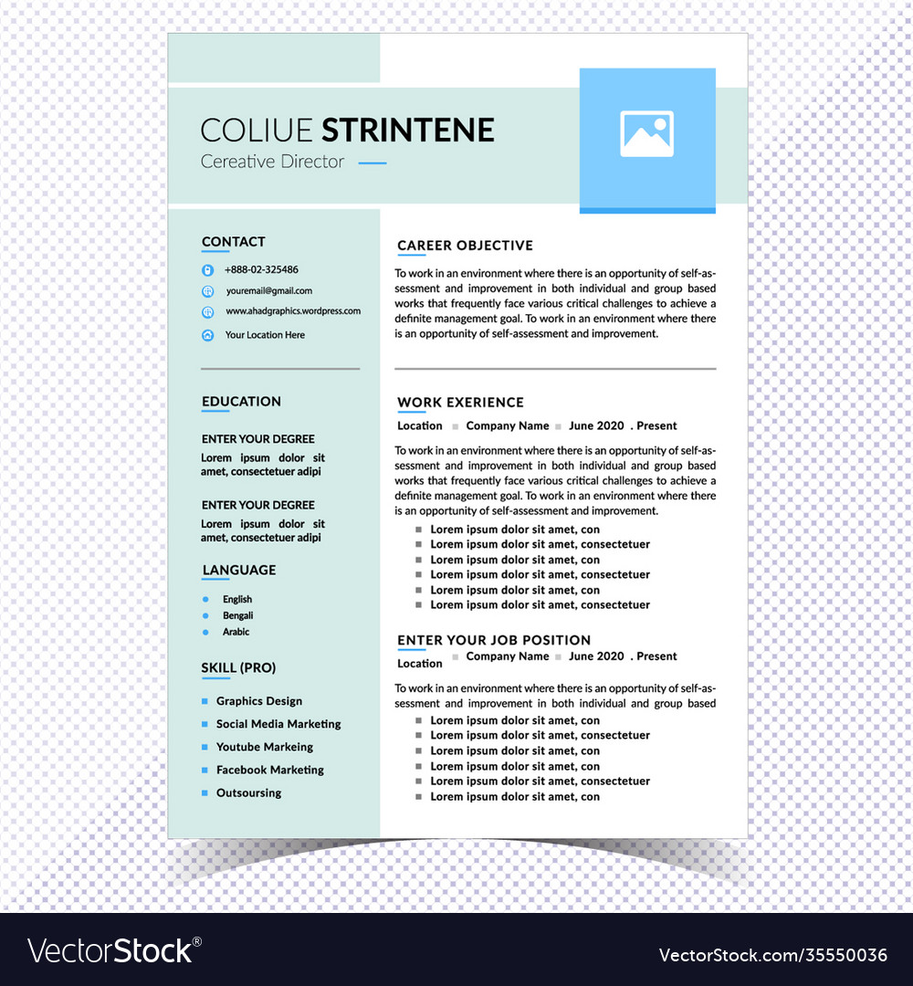 Detail English Cv Template Nomer 35