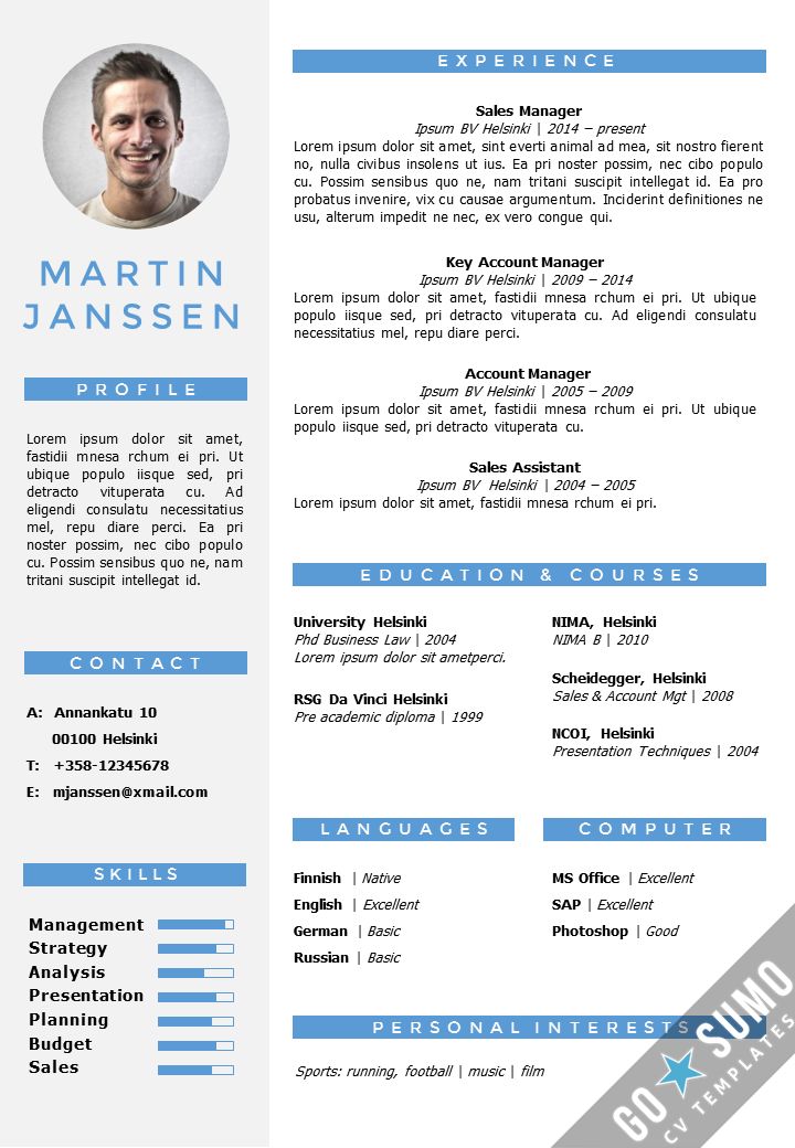 Detail English Cv Template Word Nomer 4