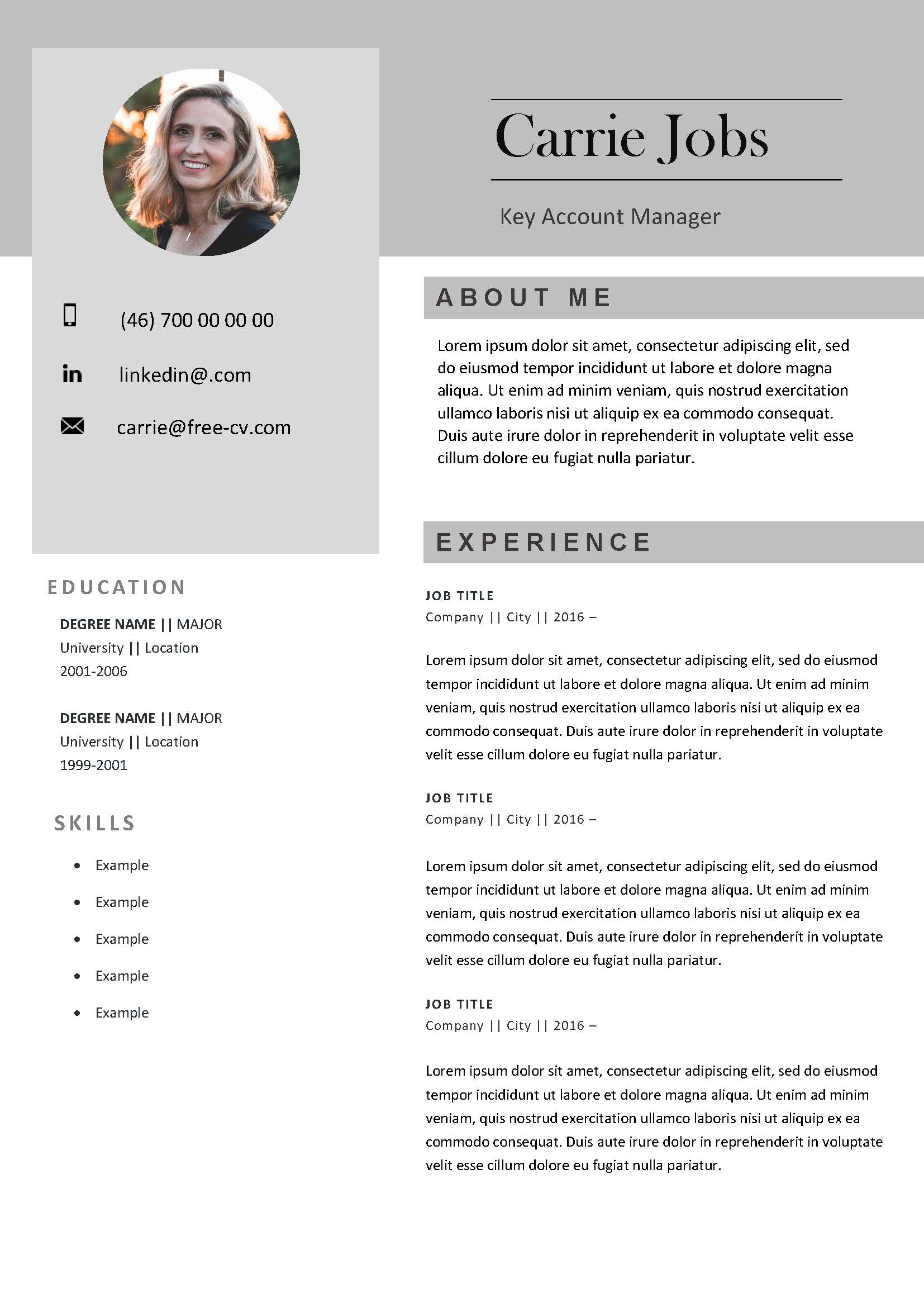 Detail English Cv Template Word Nomer 45