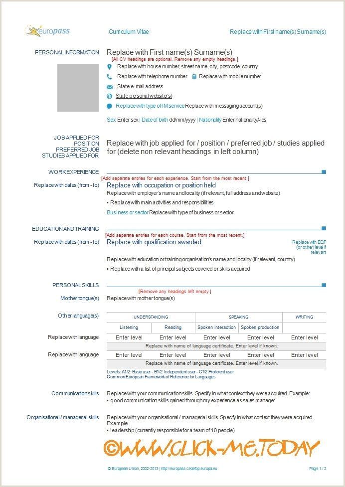 Euro Pass Cv Template Download - KibrisPDR