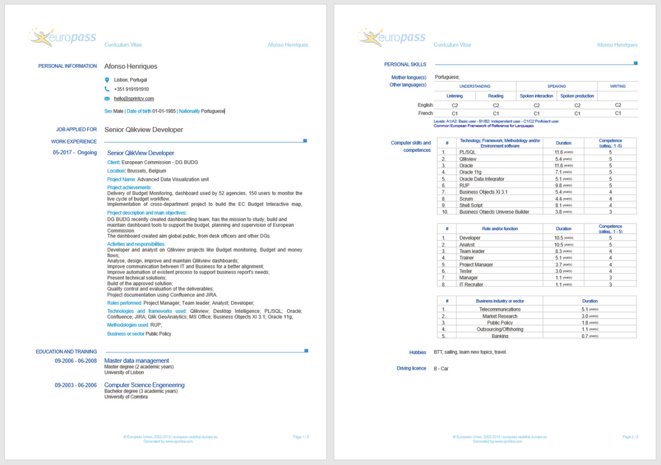 Detail Euro Pass Cv Template Download Nomer 18