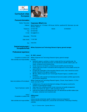 Detail Euro Pass Cv Template Download Nomer 42