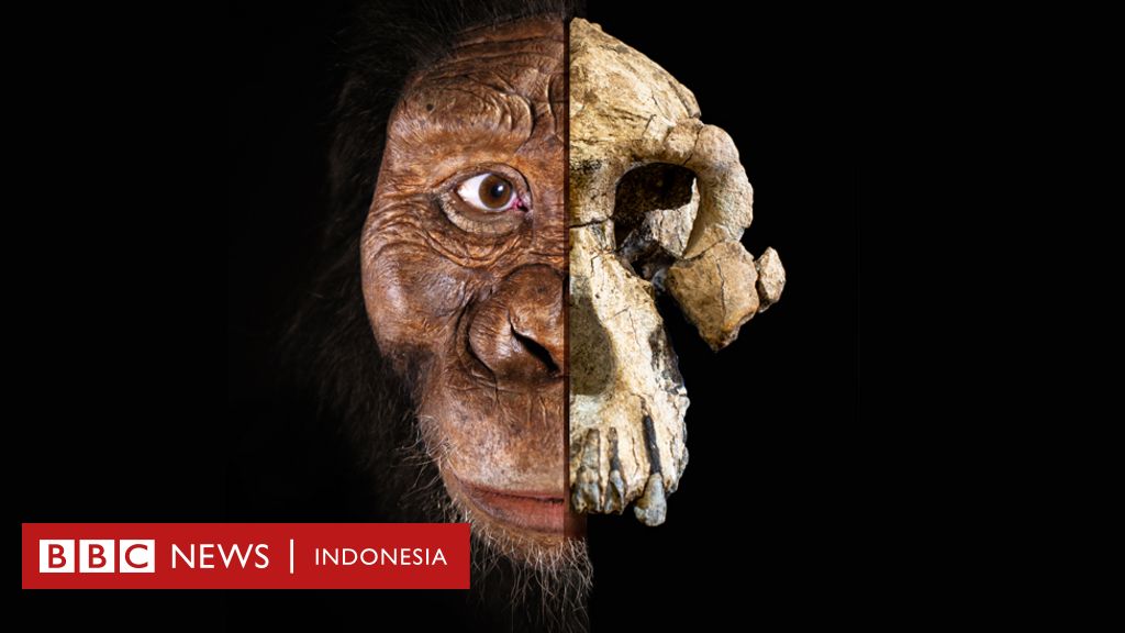Detail Evolusi Monyet Ke Manusia Nomer 3