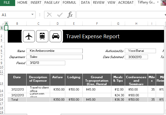 Detail Excel Business Travel Expense Template Nomer 2