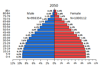 Detail Excel Pyramid Chart Template Nomer 50