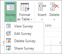 Detail Excel Survey Form Template Nomer 14